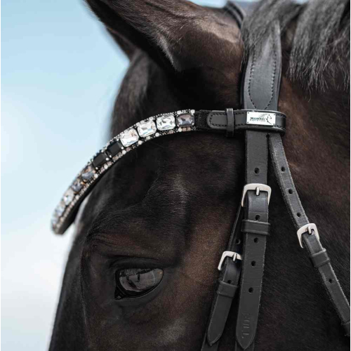 Browband  for horses Grand T