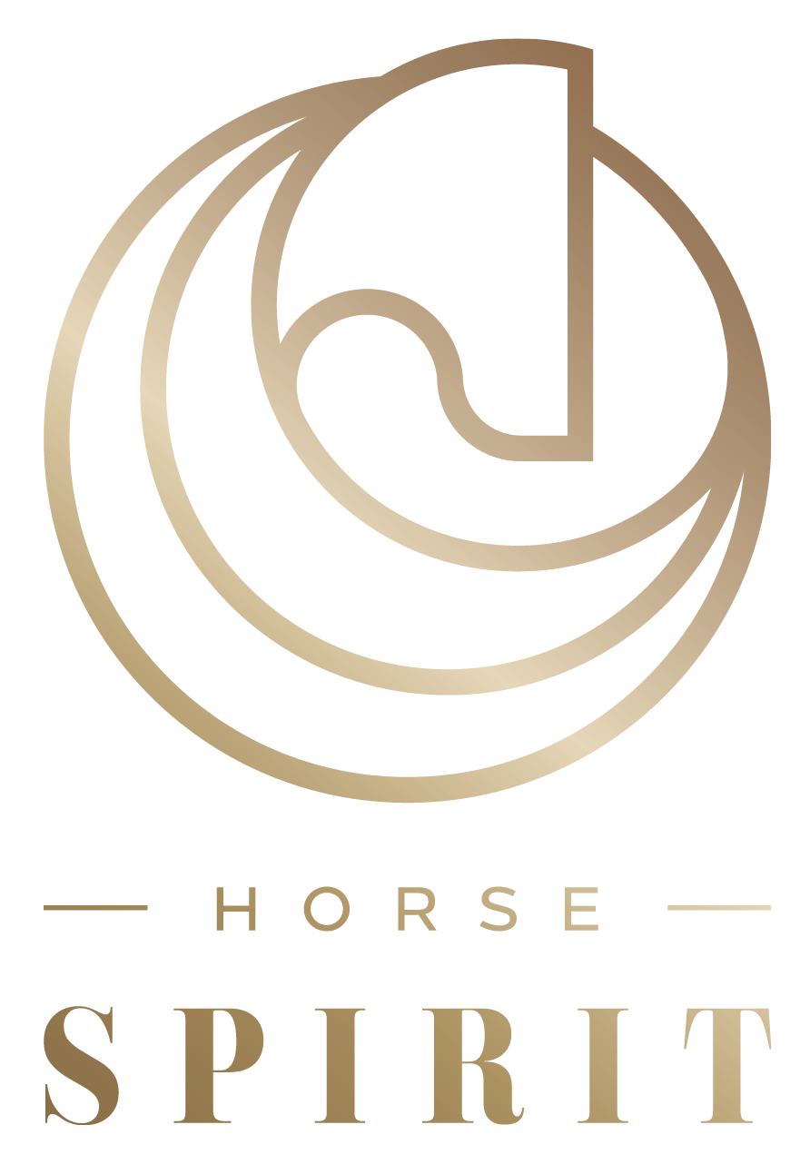 HORSE_SPIRIT_luxury_equestrian_clothing